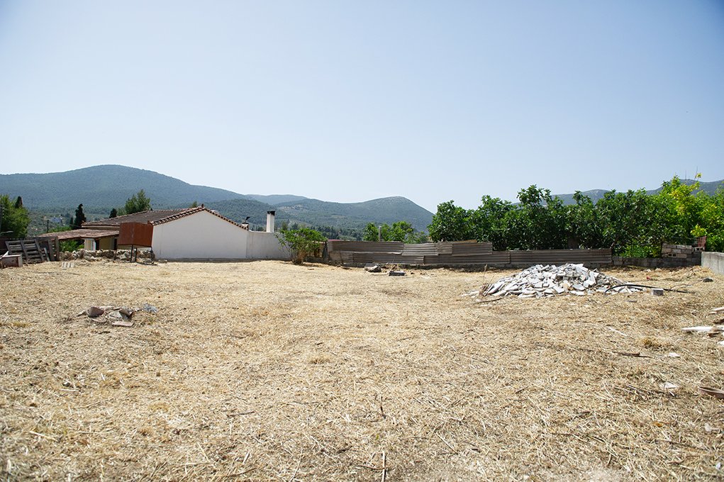 VL7_4916